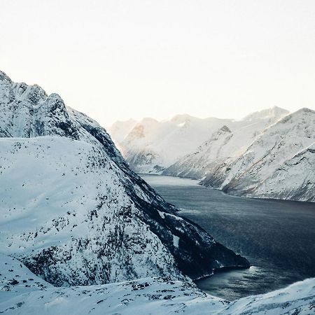 Unik Leilighet I Alesund Sentrum Luaran gambar